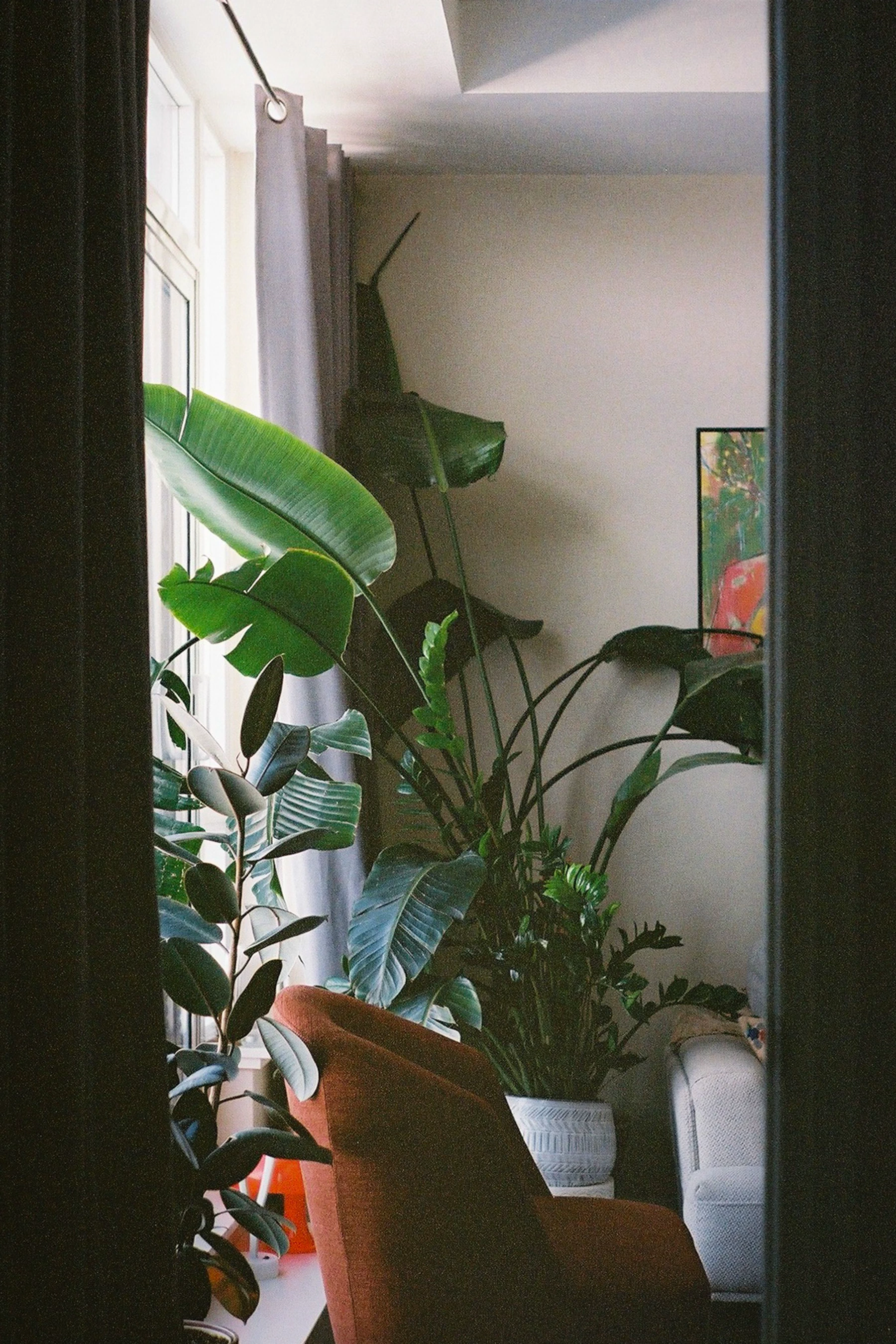 A compact living room uses daylight, an open window and houseplants