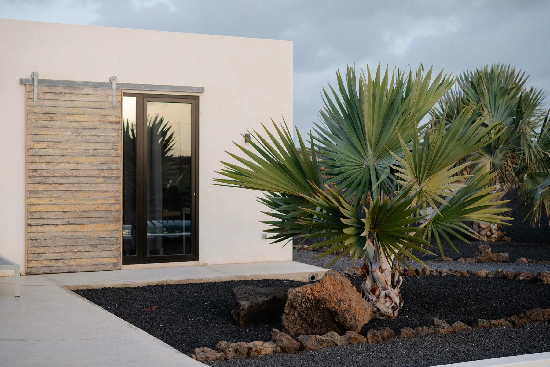 A climate-conscious home sits among palms and an arid garden
