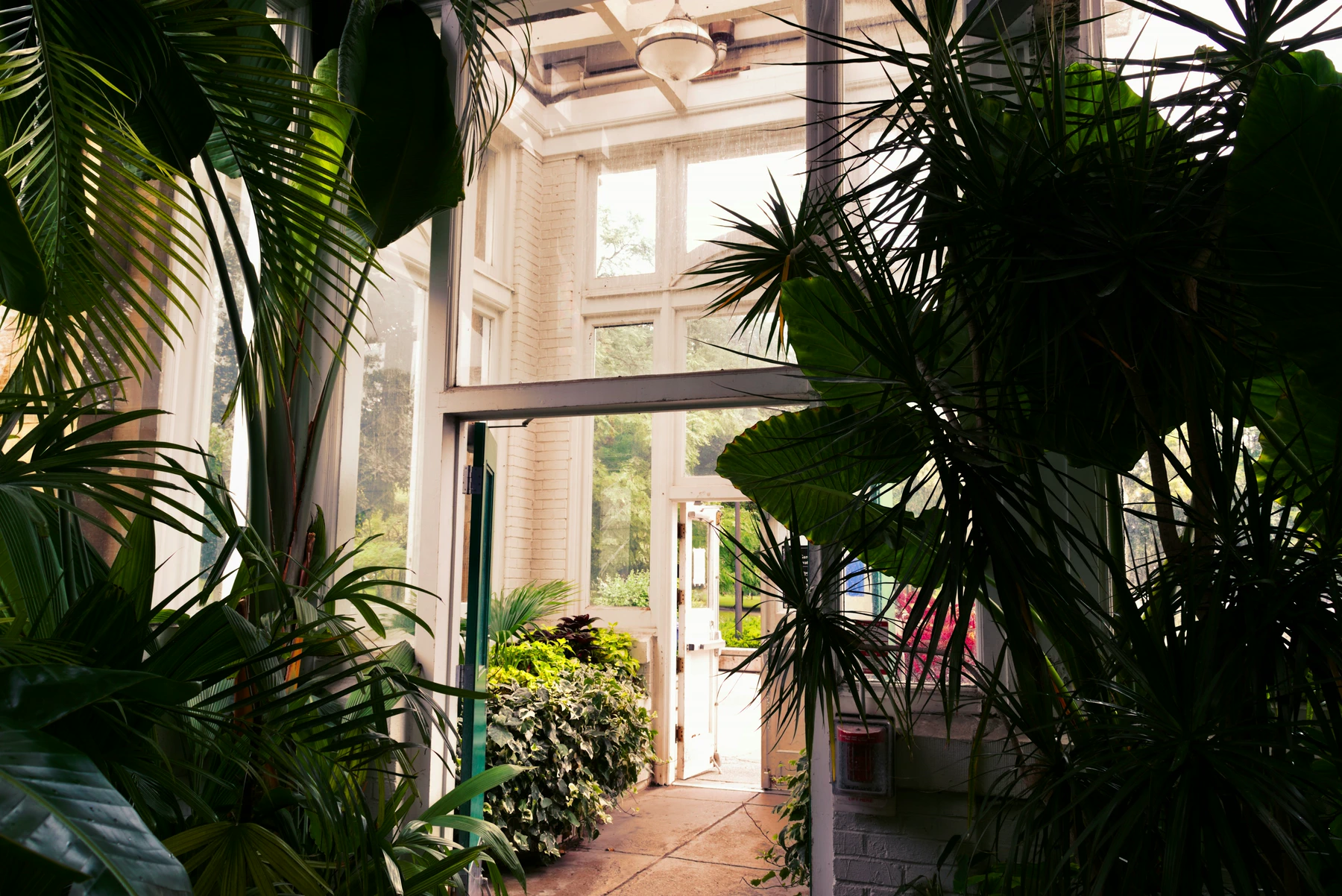 Daylight pours through a tall glazed sunroom with abundant greenery.
