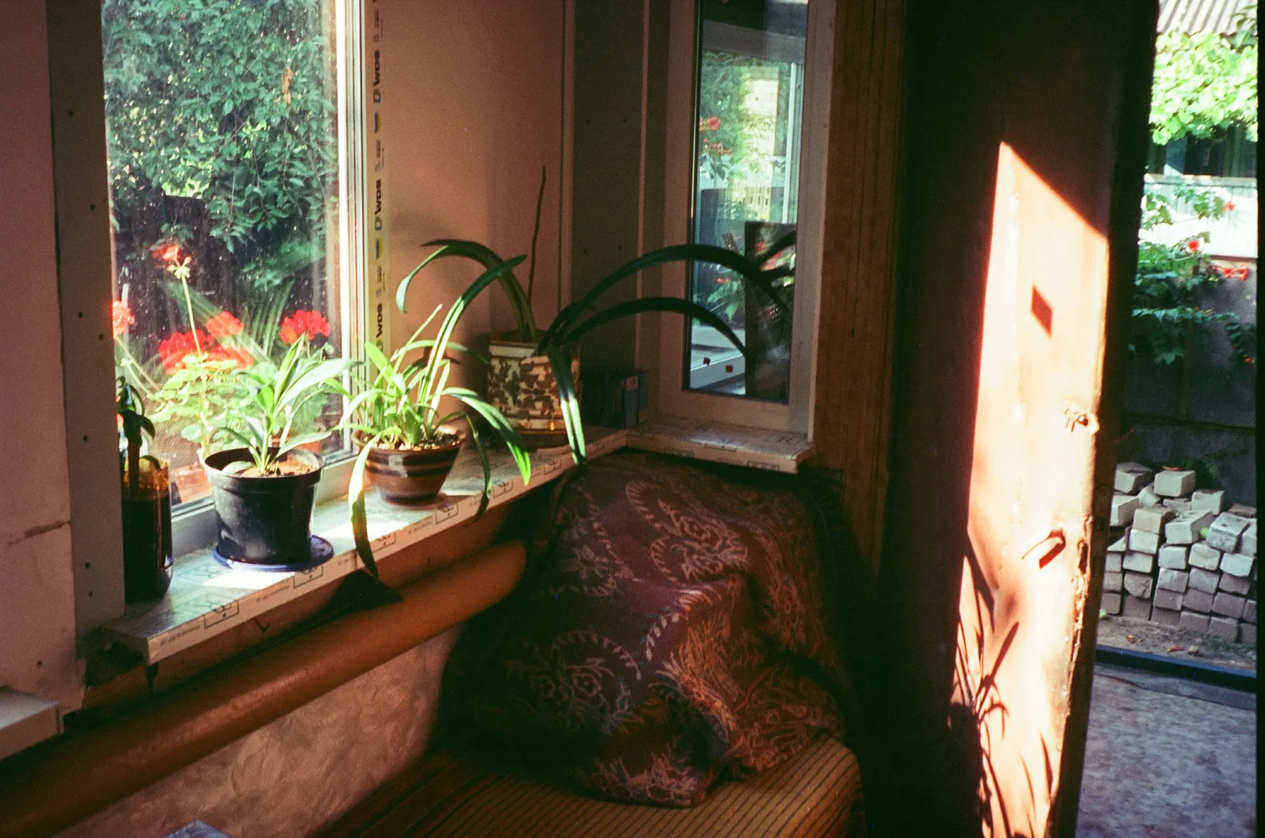 A lived-in room filled with daylight and views of greenery.